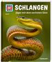 Nicolai Schirawski: WAS IST WAS Band 121. Schlangen. Jäger mit dem sechsten Sinn, Buch