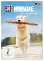 Was ist was: Hunde, DVD