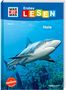 Christina Braun: WAS IST WAS Erstes Lesen Band 16. Haie, Buch