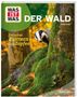 „Was ist was: Der Wald. Zwischen Blättern und Zapfen“. Dachs schnuppert hinter Baumstamm, umgeben von Moos und Herbstlaub., Buch