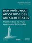 Titel: "Der Prüfungsausschuss des Aufsichtsrates". Untertitel: "Praxishandbuch für Finanzexperten und Aufsichtsräte". Illustration: Leuchtturm.