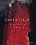 David Lynch: David Lynch. Someone is in my House, Buch