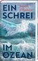 Benoit d`Halluin: Ein Schrei im Ozean, Buch, Buch