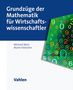 Michael Merz: Grundzüge der Mathematik für Wirtschaftswissenschaftler, Buch