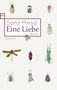 Sara Mesa: Eine Liebe, Buch