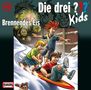 Ulf Blanck: Die drei ??? Kids 40: Brennendes Eis (Fragezeichen), CD