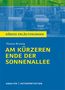 Thomas Brussig: Am kürzeren Ende der Sonnenallee. Textanalyse und Interpretation zu Thomas Brussig, Buch