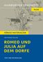 Gottfried Keller: Romeo und Julia auf dem Dorfe (Textausgabe), Buch