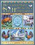 Selma Lagerlöf: Die wunderbare Reise des Nils Holgersson, Buch