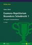 Peter Huber: Examens-Repetitorium Besonderes Schuldrecht 1, Buch