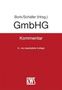 GmbHG, Buch