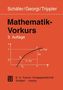 Wolfgang Schäfer: Mathematik-Vorkurs, Buch