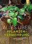 Wolfgang Kawollek: Alles über Pflanzenvermehrung, Buch