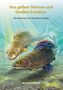 "Von gelben Sternen und Großen Schatten. Die Abenteuer des Thymallus Grayling" steht über zwei Fischen im Wasser., Buch