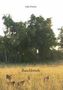 Julia Fischer: Buschbriefe, Buch