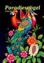 Paradiesvögel - Coloring Book, Buch