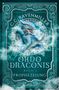 „Ordo Draconis - Buch 2 - Prophezeiung“. Ein blaues Drachengemälde auf eisblauem Hintergrund mit verzierten Mustern., Buch