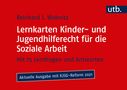 Reinhard J. Wabnitz: Lernkarten Kinder- und Jugendhilferecht für die Soziale Arbeit, Buch