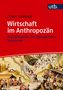 Oliver Schlaudt: Wirtschaft im Anthropozän, Buch