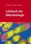 Wolfgang Fritsche: Mikrobiologie, Buch