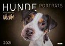 Uli Stein: Uli Stein - Hunde Porträts 2021: Monatskalender für die Wand im Großformat, Div.