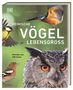 "Heimische Vögel Lebensgroß" zeigt Porträts von 100 Arten. Bilder von Vögeln auf grünem Hintergrund.