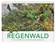 Michael Leach: Regenwald, Buch