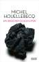 Michel Houellebecq: Ein bisschen schlechter, Buch