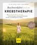 Daniela Paepke: Beschwerdefrei durch die Krebstherapie, Buch