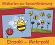 Lena Morgenthau: Bildkarten zur Sprachförderung: Einzahl - Mehrzahl, Div.