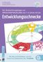 Ein Beobachtungsbogen zur Sprachentwicklung, 1–6 Jahre, Entwicklungs-Schnecke, mit Infos und Förderideen, inkl. 10 Bögen., Buch