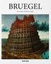 Rainer Hagen: Bruegel, Buch