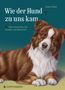 „Wie der Hund zu uns kam“ von Lena Zeise. Illustration eines sitzenden braun-weißen Hundes vor blauem Hintergrund., Buch