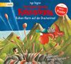 Ingo Siegner: Der kleine Drache Kokosnuss 24 - Vulkan-Alarm auf der Dracheninsel, CD