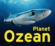 : Planet Ozean, Buch