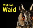 Text: "Mythos Wald." Nahaufnahme einer Eule mit leuchtend orangefarbenen Augen auf schwarzem Hintergrund.