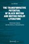 Lisa Ahrens: The Transformative Potential of Black British and British Muslim Literature, Buch