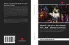 Nexus Jaj Winsalas: Divinus : Le grand livre Oracle Phi 1,618 - Geometry of Power, Buch