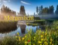 2026 Morgenlicht. Ein Teich mit gelben Blumen, umgeben von Bäumen im morgendlichen Nebel.