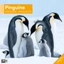 Ackermann Kunstverlag: Pinguine Kalender 2025 - 30x30, Kalender