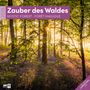 : Zauber des Waldes Broschürenkalender 2026 - 30x30 - Art12, KAL