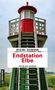 "Endstation Elbe" von Regine Seemann, Kriminalroman. Oben ein roter und weißer Leuchtturm mit grünen Stufen., Buch