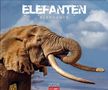 Titel: "ELEFANTEN ELEPHANTS", Jahr: 2026. Ein Elefant mit großen Stoßzähnen vor einem bewölkten Himmel., Kalender
