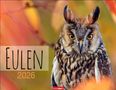 Eulen Kalender 2026, Kalender, Kalender