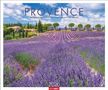 PROVENCE, blühende Lavendelfelder. Im Vordergrund violette Lavendelfelder, im Hintergrund Bäume und ein Haus., Kalender
