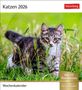 Katzen Postkartenkalender 2026 - Wochenkalender mit 53 Postkarten, Kalender, Kalender