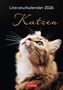 "Literaturkalender 2026", "Katzen", "Harenberg". Eine Katze mit flauschigem Fell und einem aufmerksamen Blick nach oben., Kalender