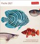 Text: "Fische 2027", "Postkartenkalender mit 53 historischen Zeichnungen", oben mehrere detaillierte Fischillustrationen.