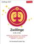 „Zwillinge 2027. Zwillinge 21.05.–21.06. Gesellig, wissbegierig, tolerant, kommunikativ, vielseitig, lebhaft, charmant.“ Oberhalb ein Kreis mit dem Zwilling-Symbol.