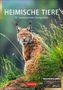 "Heimische Tiere: 53 faszinierende Fotografien". Luchs im Gras, rotbraunes Fell, aufmerksamer Blick., Kalender